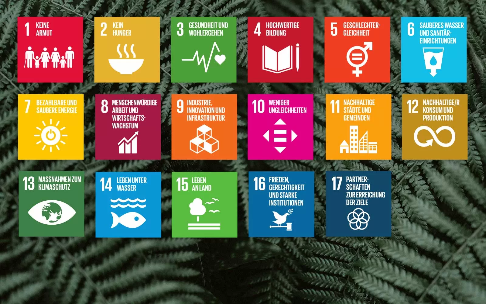 Was sind eigent­lich die 17 Zie­le für nach­hal­ti­ge Entwicklung?