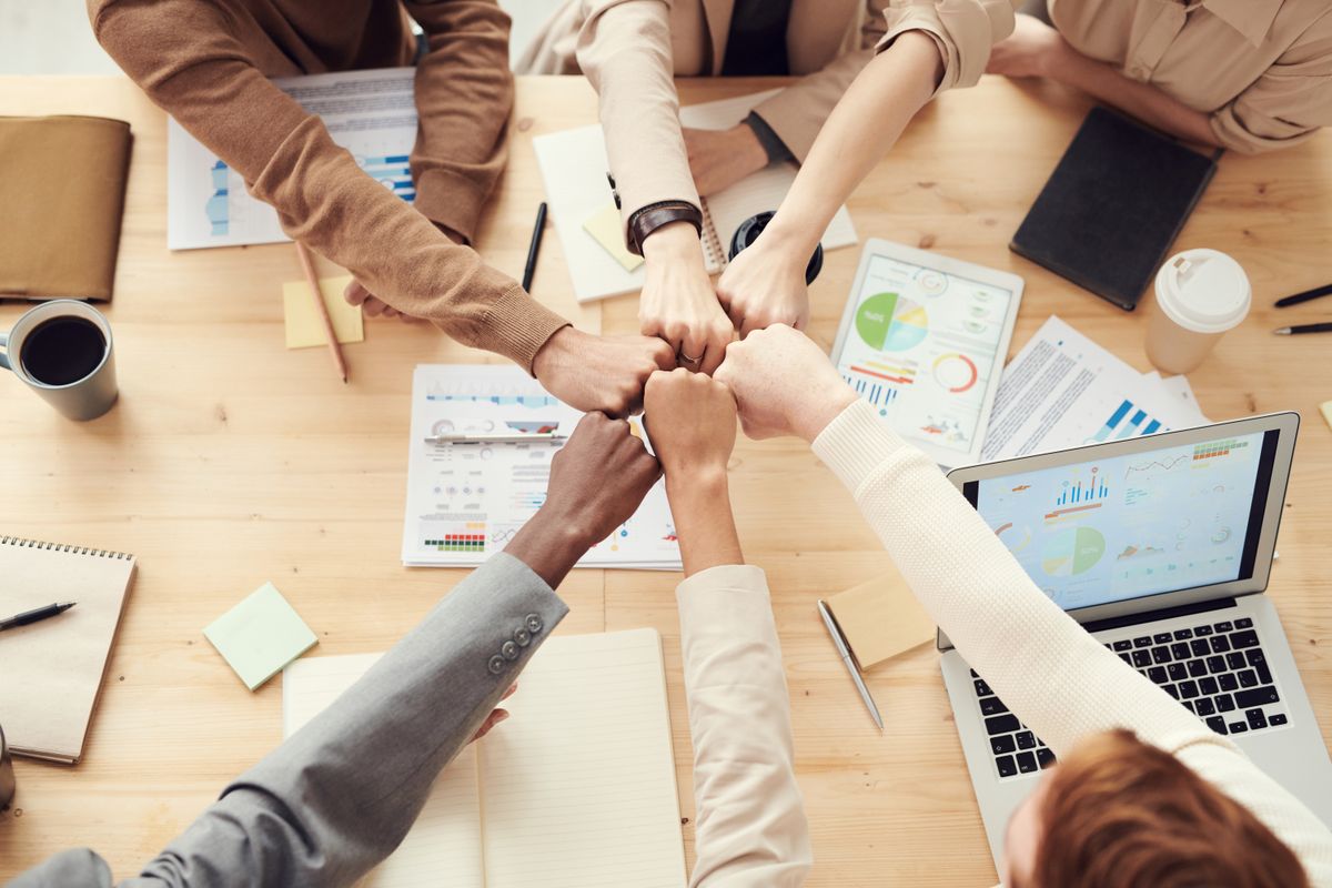 Cynefin-Framework für Betriebsräte — Entscheidungsfindung in komplexen Zeiten — Schulungsmaterial